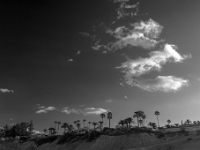 Dunes de Maspalomas